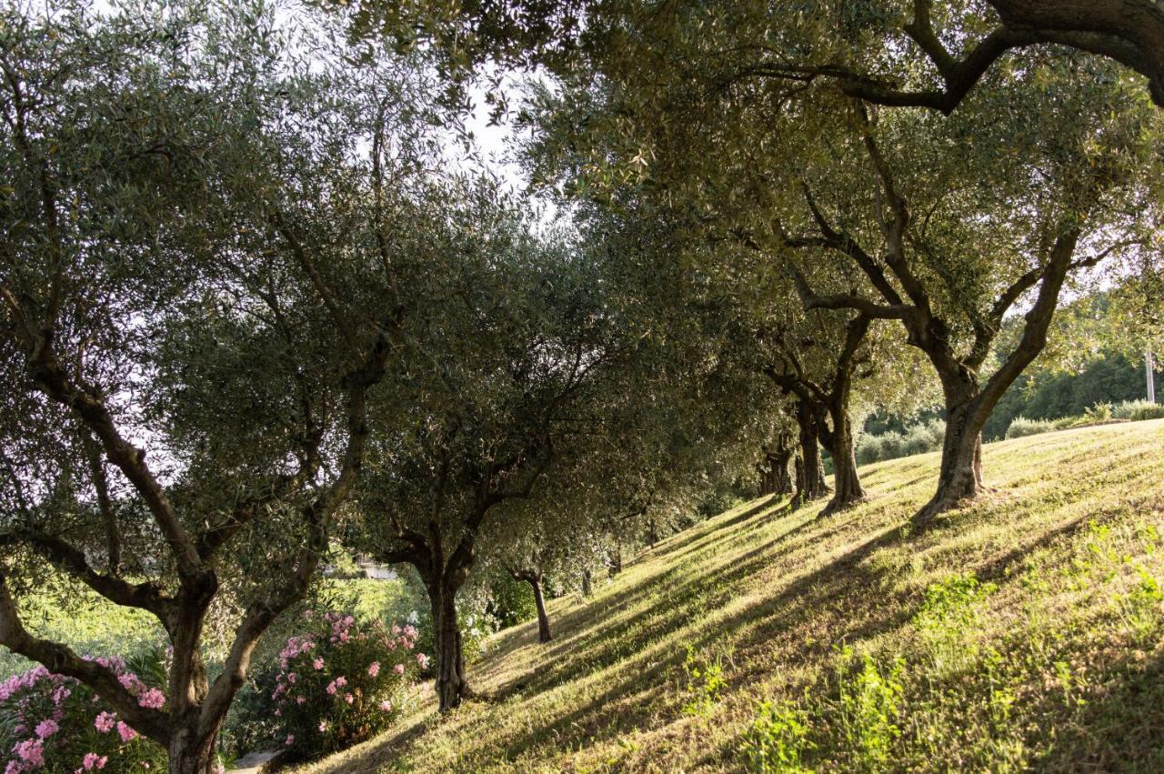 Rivoli Veronese Agriturismo Ca' Cristane מראה חיצוני תמונה